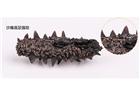 冬至到，食補(bǔ)養(yǎng)生還需煙臺(tái)海參