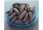 煙臺(tái)海參活的跟干的哪個(gè)更有營養(yǎng)?